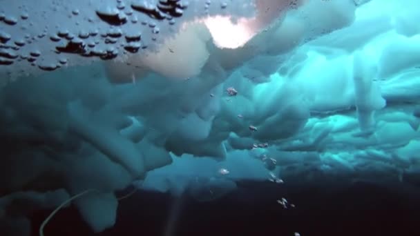 Scuba diving in Arctic at geographic North Pole. — Stock Video