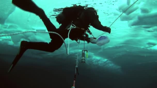 Duiken in noordpoolgebied op geografische noordpool. — Stockvideo