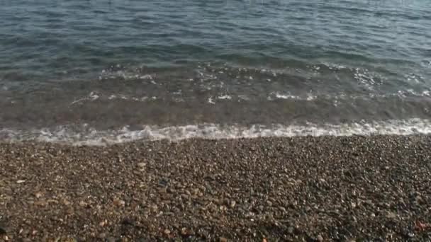 Sea waves surf on stony rocks beach. Japan Sea. — Stock Video