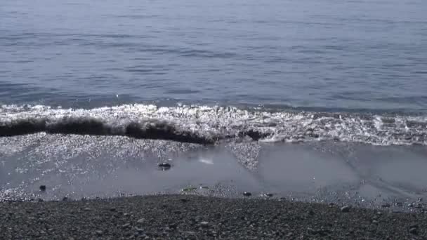 Zee golven surfen op steenachtige rotsen strand. Zee van Japan. — Stockvideo