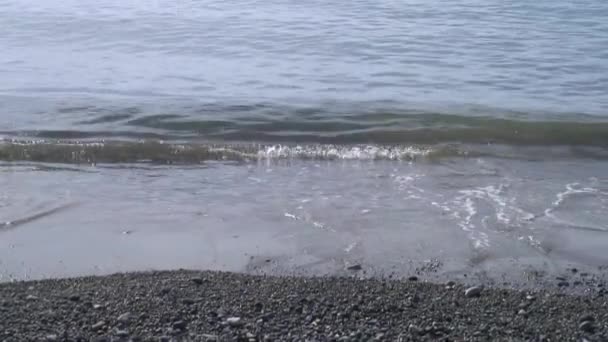 Las olas del mar surfean en la playa de rocas pedregosas. Mar de Japón . — Vídeo de stock