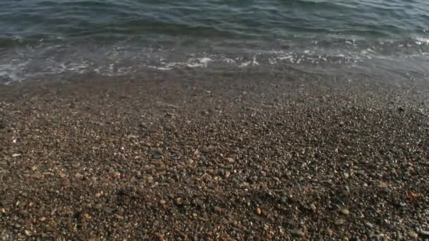 Havet vågor surfa på steniga klippor beach. Japan havet. — Stockvideo