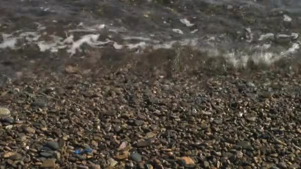 Dalgalar deniz taşlı kayalar plajda sörf. Japonya deniz. — Stok video