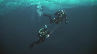 Arctic coğrafi Kuzey Kutbu'ndaki tüplü dalış.