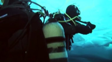 Arctic coğrafi Kuzey Kutbu'ndaki tüplü dalış.