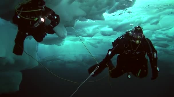 Scuba diving in Arctic at geographic North Pole. — Stock Video