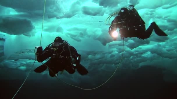 Buceo en el Ártico en el Polo Norte geográfico . — Vídeos de Stock