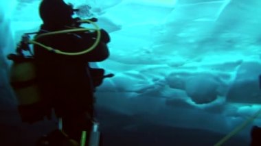 Arctic coğrafi Kuzey Kutbu'ndaki tüplü dalış.