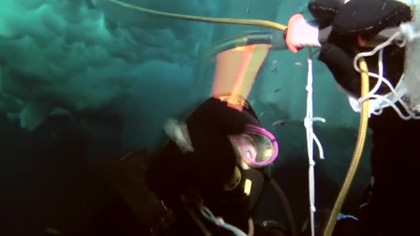 Scuba diving in Arctic at geographic North Pole. — Stock Video