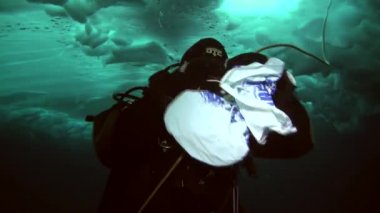 Arctic coğrafi Kuzey Kutbu'ndaki tüplü dalış.