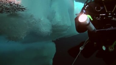 Arctic coğrafi Kuzey Kutbu'ndaki tüplü dalış.