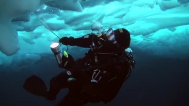 Arctic coğrafi Kuzey Kutbu'ndaki tüplü dalış.