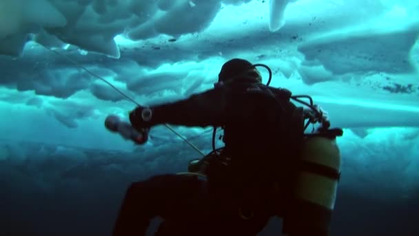 Sukellus arktisella alueella pohjoisnavalla . — kuvapankkivideo