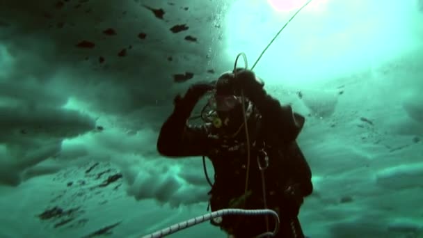 Buceo en el Ártico en el Polo Norte geográfico . — Vídeos de Stock