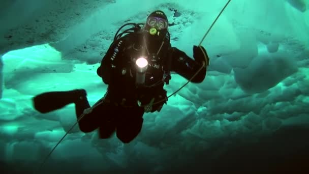 Sukellus arktisella alueella pohjoisnavalla . — kuvapankkivideo