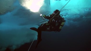 Arctic coğrafi Kuzey Kutbu'ndaki tüplü dalış.