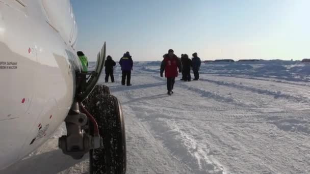 Uçak turistik şeyler Barneo Arctic içinde yükleme. — Stok video