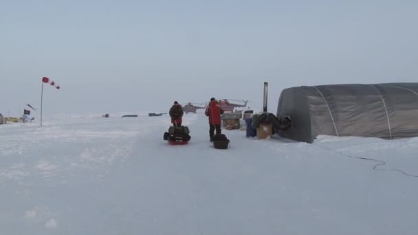 Turisti nel campo di ghiaccio Barneo nel Polo Nord Artico . — Video Stock