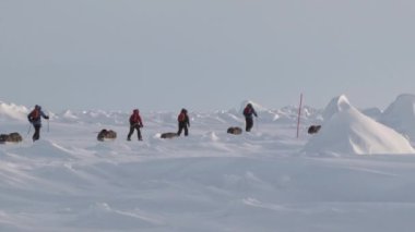 Barneo kutup Kuzey Kutbu buz turist kamp.