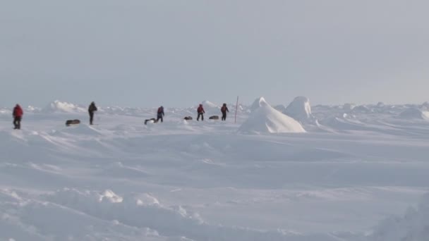 Turister i Ice Camp Barneo i arktiska Nordpolen. — Stockvideo