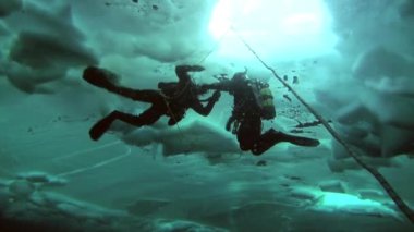 Arctic coğrafi Kuzey Kutbu'ndaki tüplü dalış.