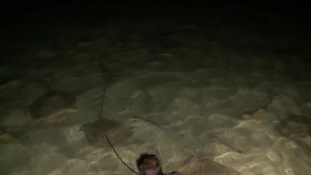 Voeding pijlstaartroggen op strand bij nacht in Maldiven. — Stockvideo