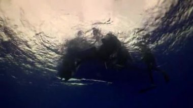 Derinlik dibinin ipleri boyunca gelen dalgıçlar ascend.