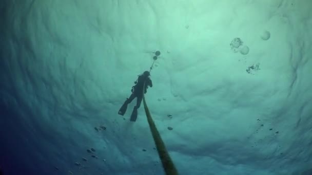 Divers ascend from depth seabed along the ropes. — Stock Video