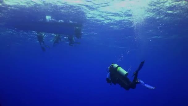 Los buceadores ascienden desde el fondo marino a lo largo de las cuerdas . — Vídeos de Stock