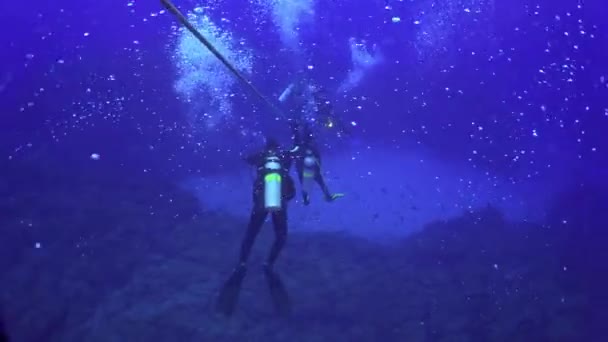 Les plongeurs plongent à une profondeur de fond le long des cordes . — Video