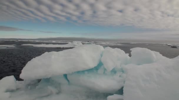 Iicebergs plovoucí v moři kolem Grónska. — Stock video