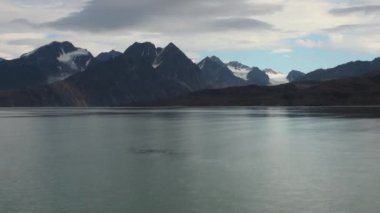 Karlı dağlar ve Arctic deniz. İzlanda.
