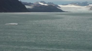 Karlı dağlar ve Arctic deniz. İzlanda.