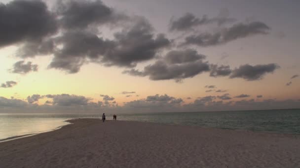 Mooie verbazende gouden zonsondergang op tropisch strand. — Stockvideo