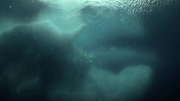 Μοναδικό γυρισμάτων γυρίσματα του παγόβουνου κάτω από το νερό. — Αρχείο Βίντεο
