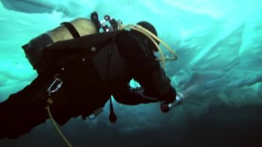 Arctic coğrafi Kuzey Kutbu'ndaki tüplü dalış.