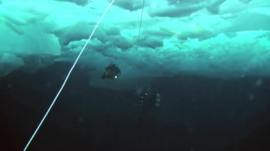 Arctic coğrafi Kuzey Kutbu'ndaki tüplü dalış.