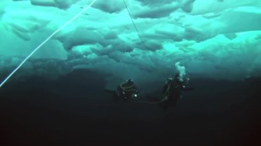 Arctic coğrafi Kuzey Kutbu'ndaki tüplü dalış.