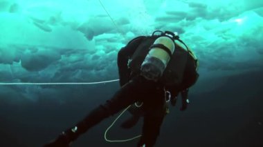 Arctic coğrafi Kuzey Kutbu'ndaki tüplü dalış.