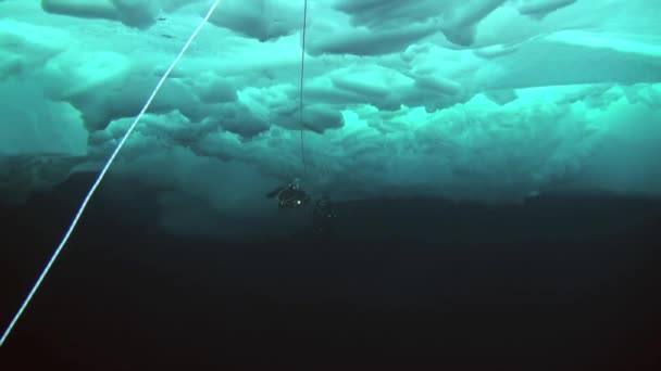 Arctic coğrafi Kuzey Kutbu'ndaki tüplü dalış. — Stok video
