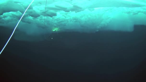 Buceo en el Ártico en el Polo Norte geográfico . — Vídeos de Stock