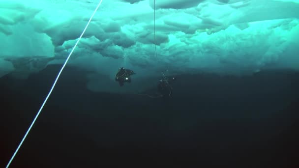 Scuba diving in Arctic at geographic North Pole. — Stock Video