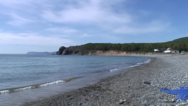 Dalgalar deniz taşlı kayalar plajda sörf. Japonya deniz. — Stok video