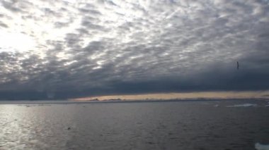 Buzdağları ve Arctic buz arasında Okyanusu günbatımı.