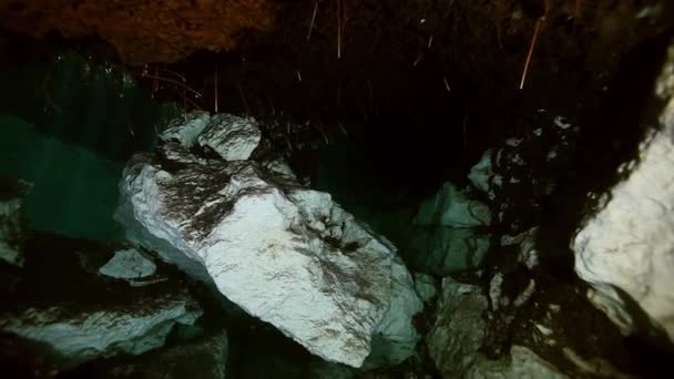 Baumwurzeln und Felsen in Yucatan mexikanische Cenote. — Stockvideo