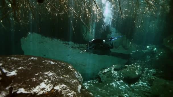 Boomwortels en stenen in Yucatan Cenote Mexicaanse /. — Stockvideo