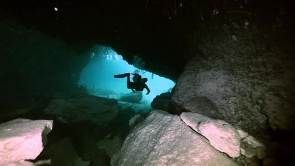 Unterwasserlandschaft und Vegetation im Cenote-See — Stockvideo