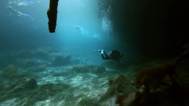 Paisaje submarino y vegetación en el cenote del lago — Vídeos de Stock