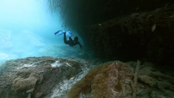 Υποβρύχιο τοπίο και βλάστηση στη λίμνη cenote — Αρχείο Βίντεο