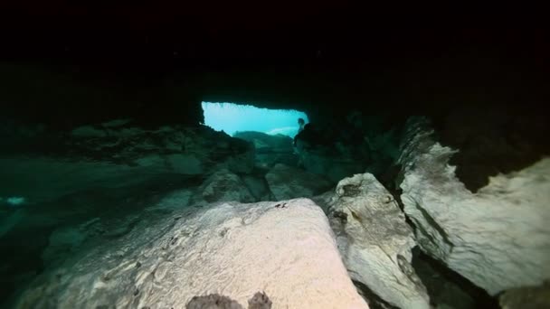 Unterwasserlandschaft und Vegetation im Cenote-See — Stockvideo